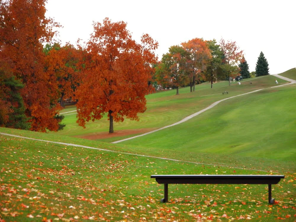 Autumn photo backdrop showing Rhode Island fall foliage, a bench, and Kirkbrae Country Club grounds