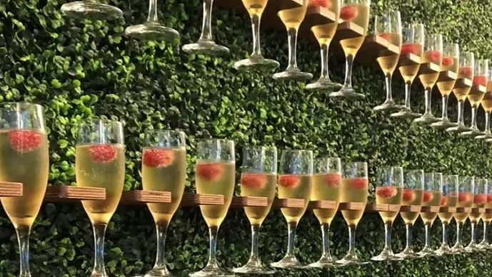 Lined up glasses of champagne on a wall at a corporate event